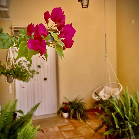 L'abete Bianco Διαμέρισμα