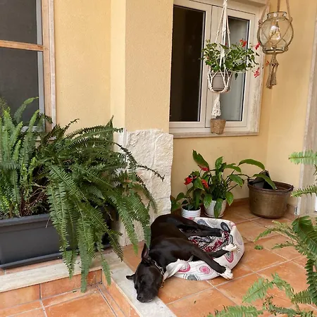 L’abete Bianco * Taranto