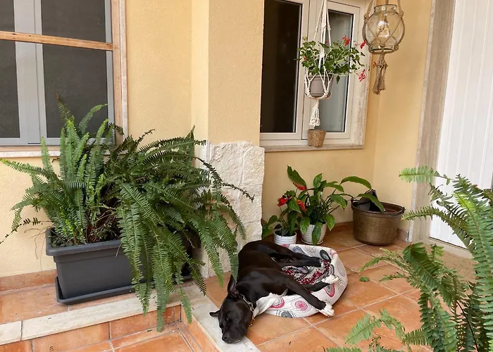 L'abete Bianco * Ταράντο